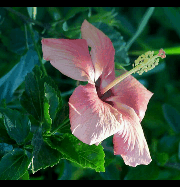 Good night Greetings 💖💤 189841243000202 by @aracelysaenz