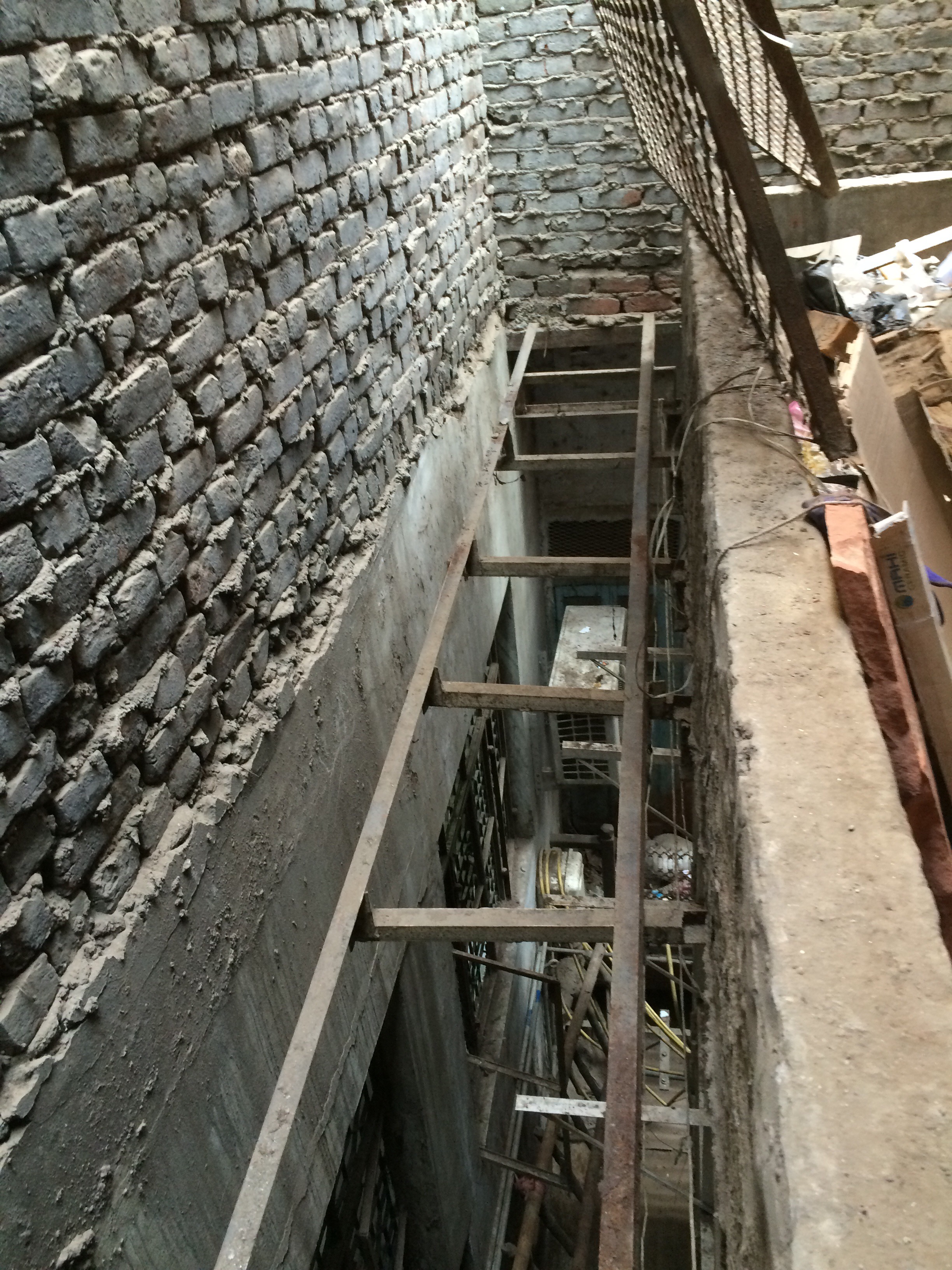 Picture of the author