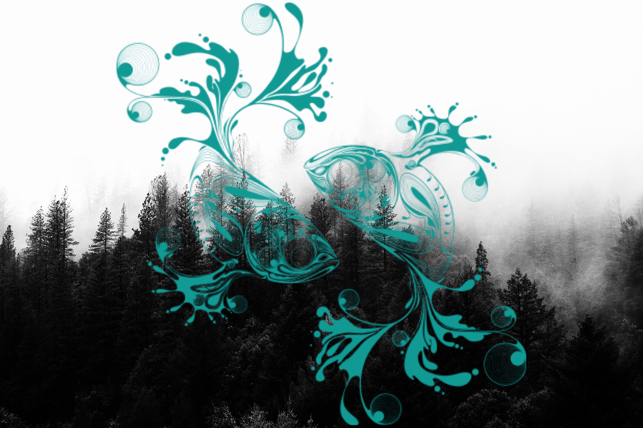 pisces interesting nature pisces image by ainsleymacneil99