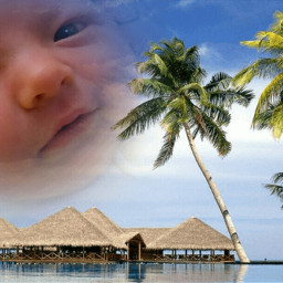 baby newborn palm dock water