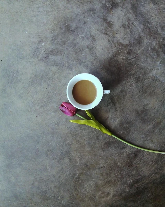 images Coffee Cup Picsart picsart